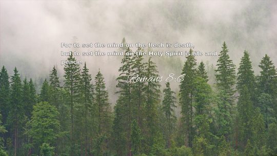 Daily Verse July, 1st 2022