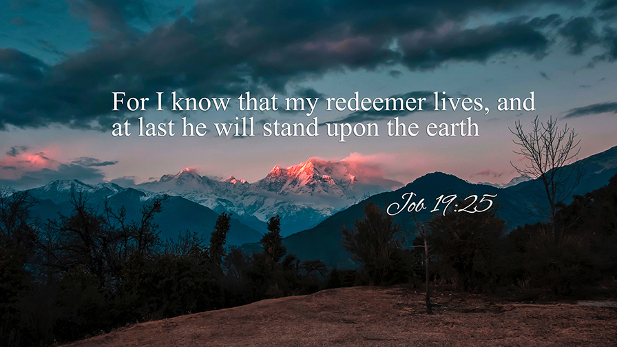 Daily Verse July, 12th 2022