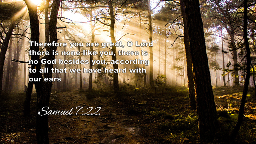 Daily Verse June, 25th 2022