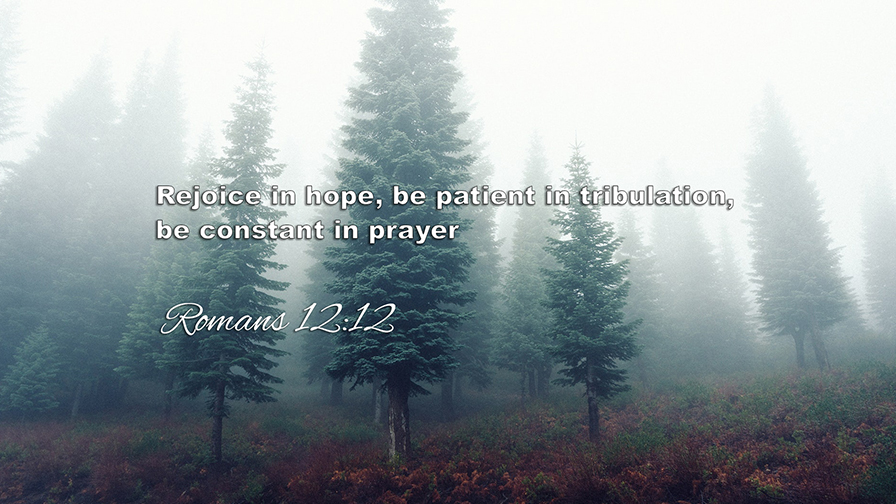 Daily Verse June, 24th 2022