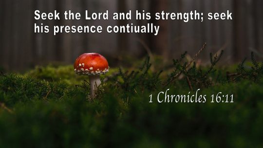 Daily Verse July, 20th 2022