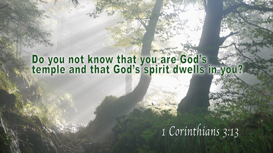 Daily Verse July, 21st 2022