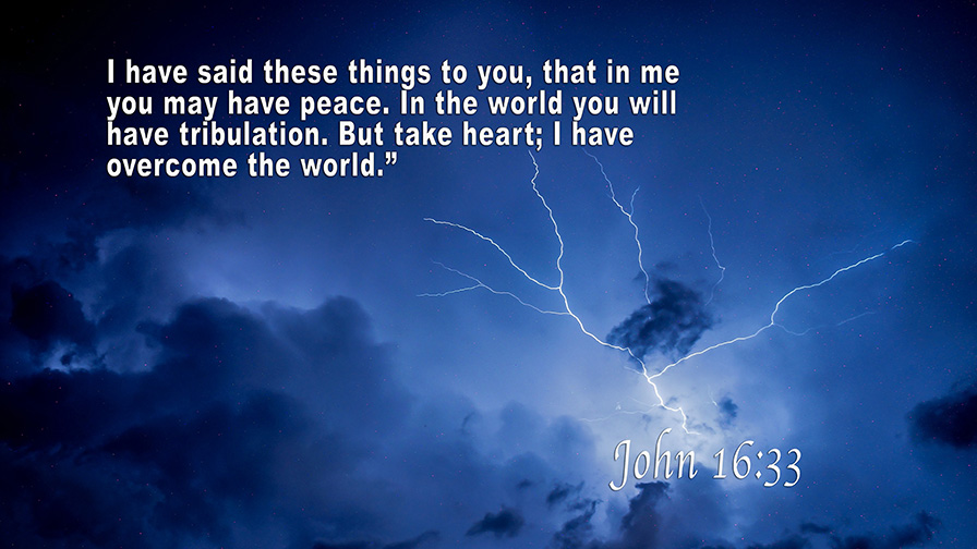 Daily Verse July, 30th 2022