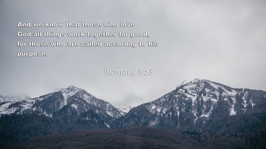 Daily Verse August, 11th 2022