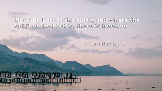 Daily Verse August, 9th 2022