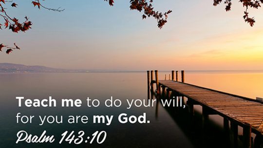 Daily Verse August, 24th 2022