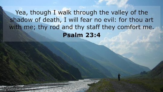 Daily Verse September, 11th 2022