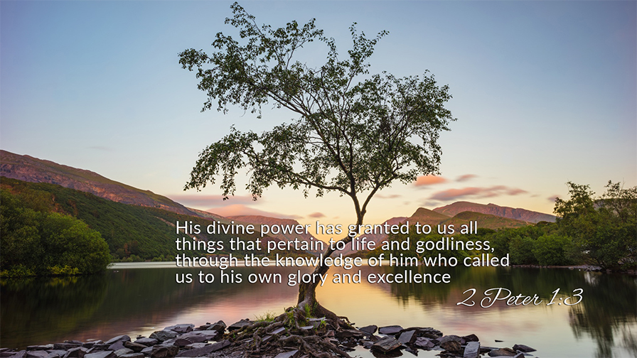 Daily Verse October, 2nd 2022