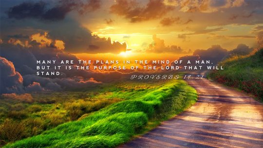 Daily Verse November, 4th 2022