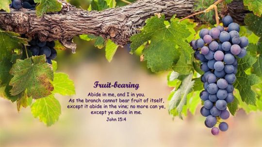 Daily Verse November, 7th 2022