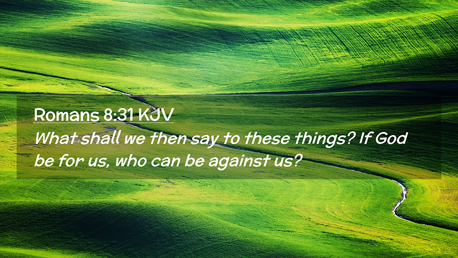 Daily Verse November, 11th 2022