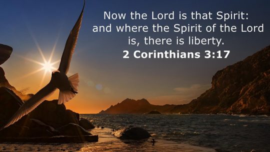 Daily Verse December, 29th 2022