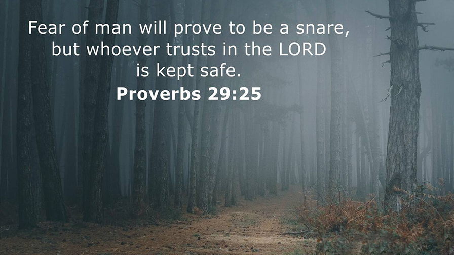 Daily Verse February, 4th 2023