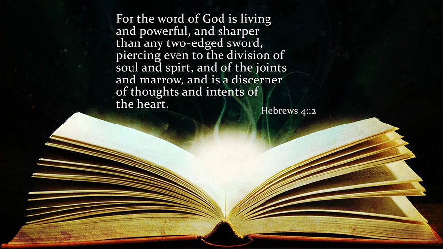 Daily Verse February, 8th 2023