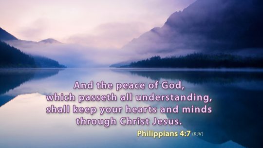 Daily Verse February 24th, 2023