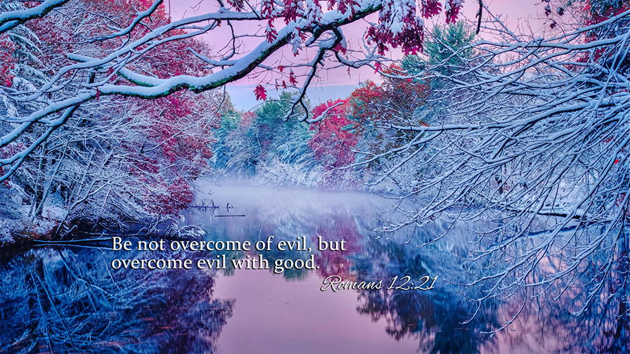 Daily Verse February 26th,2023