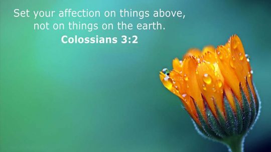 Daily Verse March 11th, 2023