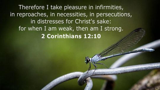 Daily Verse March 26th, 2023
