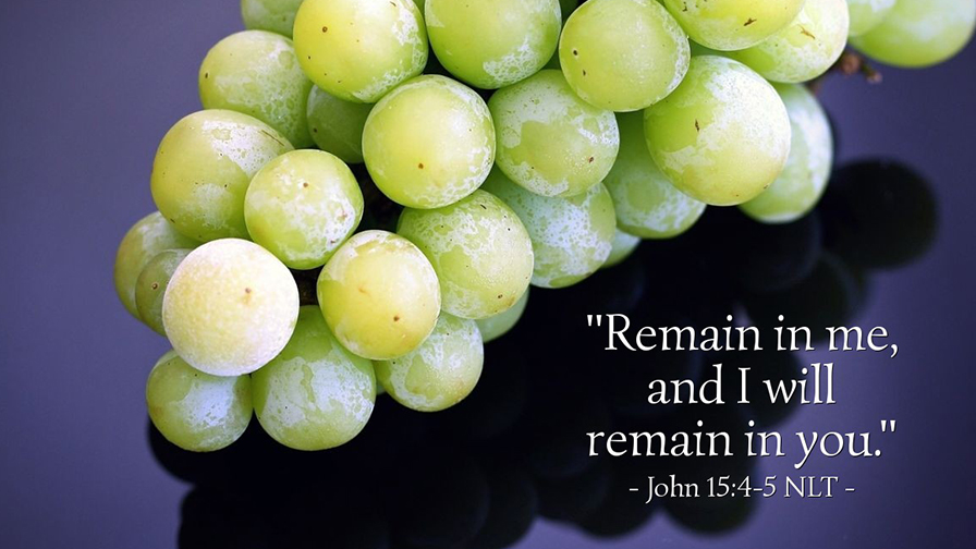 Daily Verse April 13th, 2023