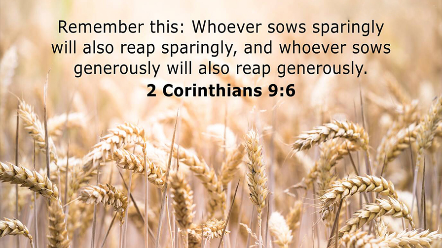 Daily Verse April 24th, 2023