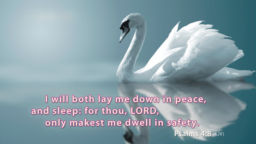 Daily Verse April 30th, 2023