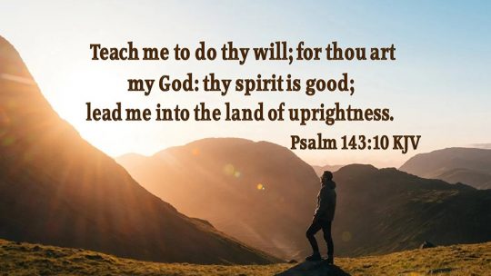 Daily Verse May 13th, 2023