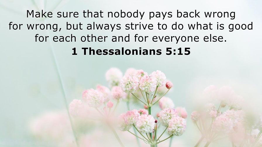 Daily Verse July 22nd, 2023