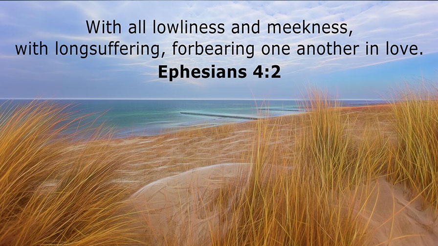 Daily Verse August 2nd, 2023