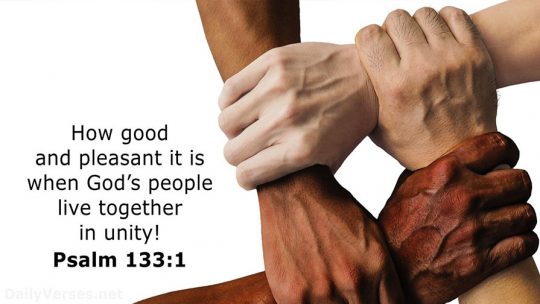 Daily Verse August 8th, 2023