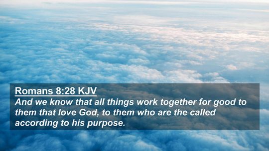 Daily Verse August 25th, 2023