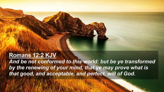 Daily Verse September 13th, 2023