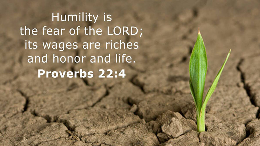 Daily Verse September 16th, 2023