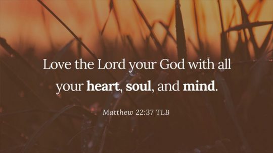 Daily Verse September 29th, 2023