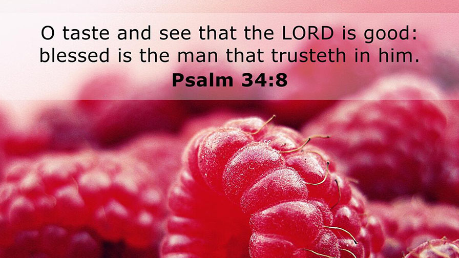 Daily Verse October 7th, 2023