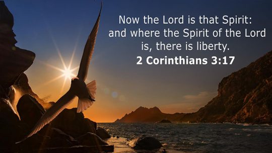 Daily Verse November 12th, 2023