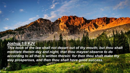 Daily Verse November 19th, 2023