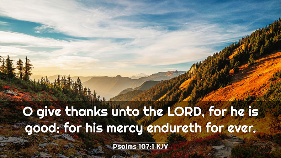 Daily Verse November 23rd, 2023