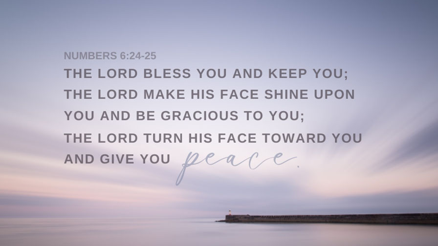 Daily Verse November 25th, 2023