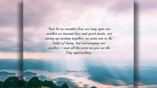 Daily Verse January 7th, 2024