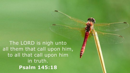 Daily Verse March 9th, 2024