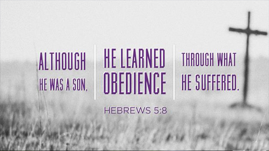 Daily Verse March 17th, 2024