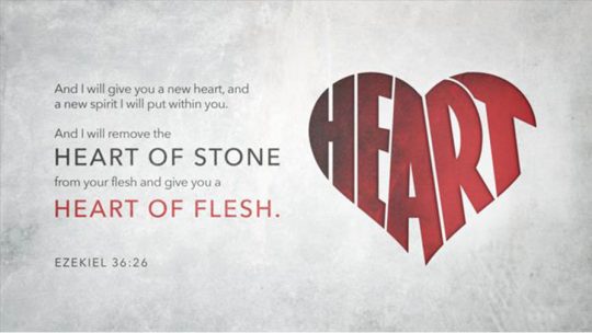 Daily Verse April 9th, 2024