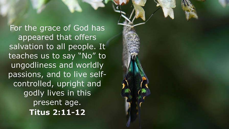 Daily Verse April 10th, 2024