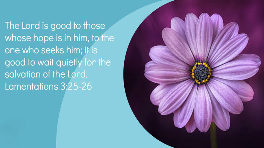 Daily Verse June 14th, 2024