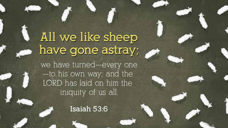 Daily Verse June 25th, 2024