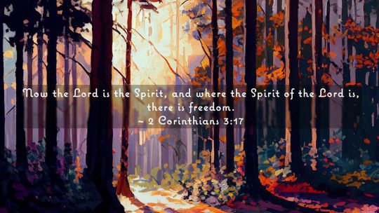 Daily Verse July 4th, 2024