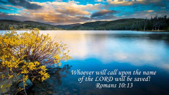 Daily Verse July 16th, 2024