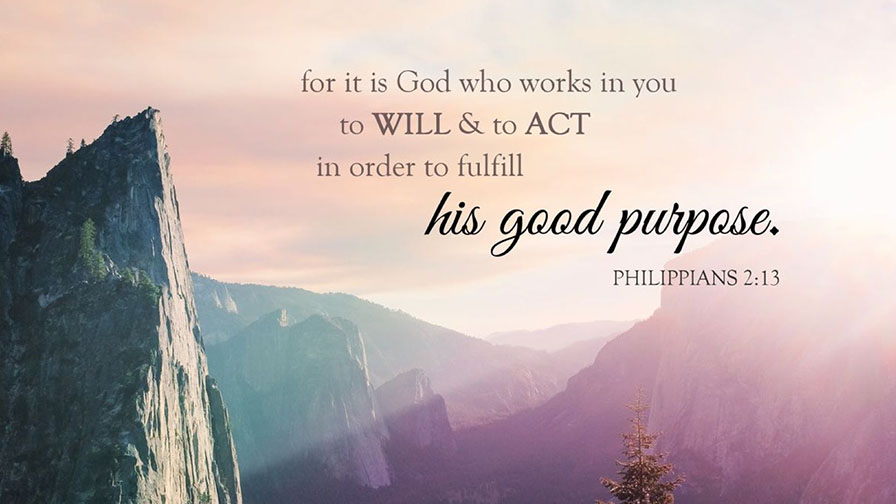 Daily Verse August 9th, 2024