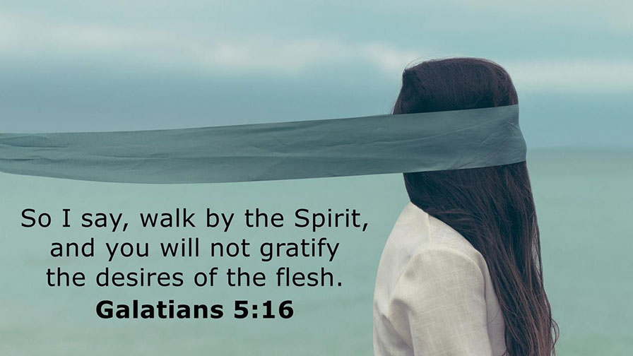 Daily Verse August 14th, 2024