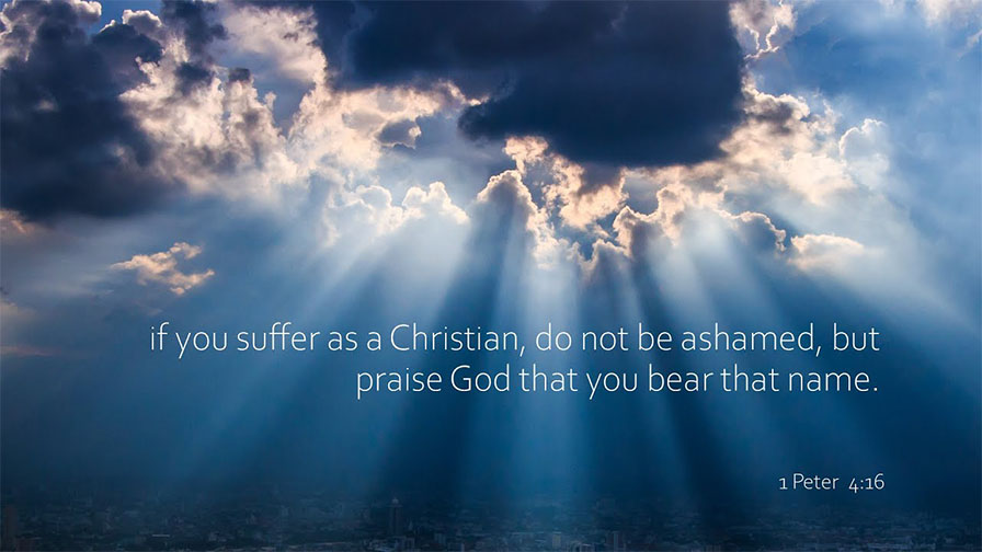 Daily Verse August 25th, 2024